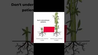 be patient always #quotes #bestmotivationalvideo #bestquots #trendingshorts #ytshorts #shortvideo