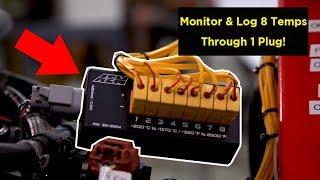 K-Type EGT CAN Module EXPLAINED! 8 TEMPS THROUGH 1 PLUG!