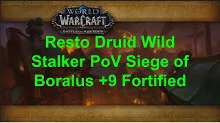 Siege of Boralus Mythic +8 Fortified Resto Druid Wild Stalker PoV, The War Within Season 1