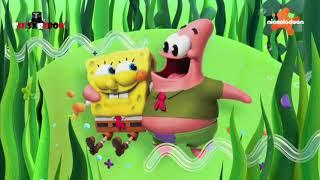 Nickelodeon Poland - Continuity - (19/06/2024)