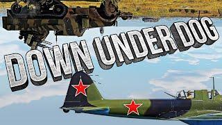 Thunder Show: DOWN UNDER DOG