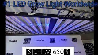 Slim 650S LED Grow Light Review - Spectrum Control - 3.0 umols/J - New Samsung LH351H Red LEDS