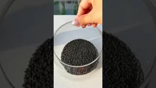 how to grow aquatic plant seeds for aquarium | Nano glass  bowl setup #plantedtank #aquarium #fish