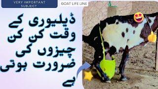 ڈیلیوری کے وقت کن کن چیزوں کی ضرورت ہوتی ہےWhat items are// required at the time of delivery?#goat