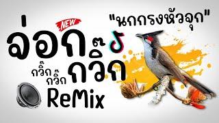 #มาแรงในTikTok ( จ่อก กวิ๊กๆ - เสียงนกกรงหัวจุกมันริก )️Ver.Remix รำตึงๆ BY [ ดีเจกิต รีมิกซ์ ]