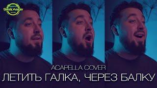 Летить галка, через балку | ACAPELLA COVER