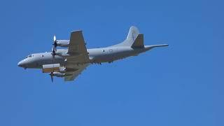 Hood Aerodrome | RNZAF | Lockheed P-3K Orion flyover with bomb doors open - Wings Over Wairarapa