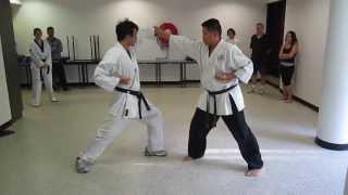 Hian Shodan Bunkai, Shotokan Kata: Hossein Mokhtarzadeh, Melbourne City Dojo
