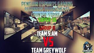 Penguin CS 2 Tournament Super-16 Group-D Team 5AM vs Team GreyWolf (2024)