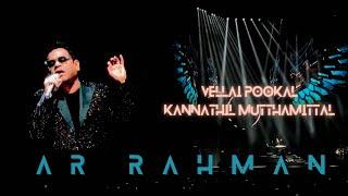 Vellai Pookal live performance | Kannathil Muthamittal | A R Rahman live concert