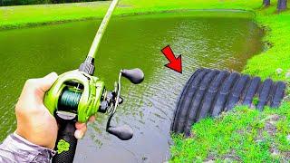 This TROPHY Pond is LOADED w/ GIANT Bass (Bank Fishing)