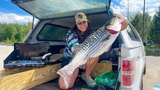 Catching and Cooking Striped Bass In My Truck Camper (CAMP, CATCH, CLEAN, COOK)