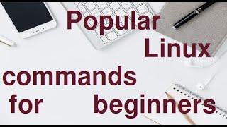 Must know Linux commands for absolute beginners.