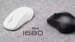 RAPOO Wireless Mouse-1680