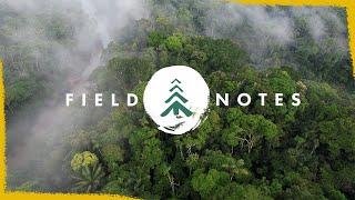 Mossy Earth Field Notes - Channel Trailer