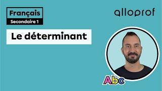 Le déterminant | Français | Alloprof