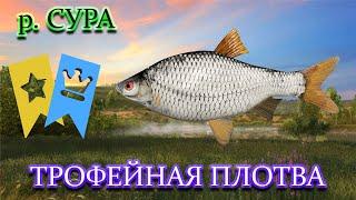 РУССКАЯ РЫБАЛКА 4 (РР4) - РАЗДАЧА ПЛОТВЫ НА СУРЕ.