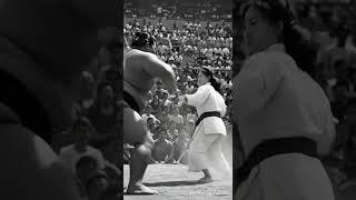 A Beautiful Karate Woman Fights a Massive Sumo Wrestler | Retro AI Battle
