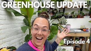 Houseplants in a greenhouse? Cold climate greenhouse Episode 4 | Plant with Roos