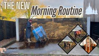 Morning Routine On The Farm - Were Back For 2025!