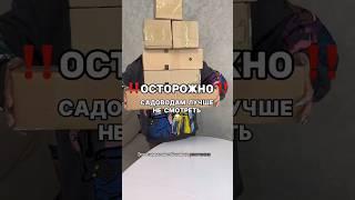 Арт. в комментах мои супер находки #wildberries покупки для дома #ozon #aliexpress #яндекс
