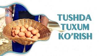 Tushlar tabiri - Tushda tuxum ko'rish