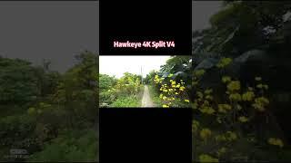 Hawkeye 4k split cam V4.0 for FPV gyroflow