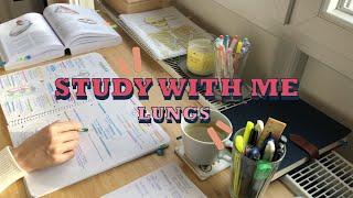Study with me - get motivated to study!