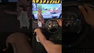 Cat & Rat Friends #shorts #ets2 #busdriving #eurotrucksimulator2 #universalgamestudio