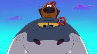 TROUBLE MAKERS  Zig & Sharko Compilation in HD