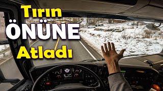 SCANIA V8 ile SON TURUM | BU KEZ SİZE SÜRDÜRÜYORUM