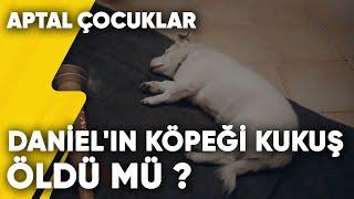 Daniel'in Köpeği Kukuş Öldü mü ? | Aptal Çocuklar 5.Bölüm