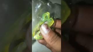#Chipok chhipkali 