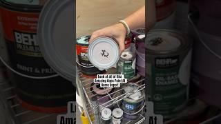 Oops Paint - All Under $10! Budget Friendly Project Supplies for your next DIY! #shorts #ideas #diy