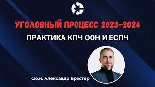 Практика КПЧ ООН и ЕСПЧ в 2024 в российском уголовном процессе/Полный эфир по ссылке в описании