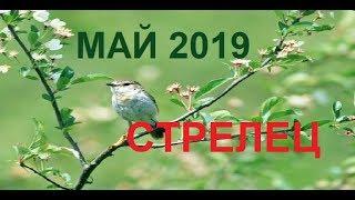 СТРЕЛЕЦ МАЙ 2019 /Агата Добровская