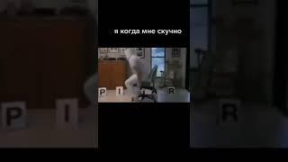 ЛУЧШИЕ МЕМЫ ИЗ ТИКТОКА // TIKTOK WEBM // BEST OF TIKTOK #мемы