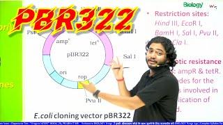 pBR322 Cloning Vector आसान Trics से याद करें  #biologywings