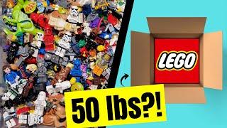 I Bought a 50 lb Lego Mystery Box with Hundreds of Minifigures!