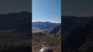 Чике-Таман, Горный Алтай️ база отдыха Любо-Дорого с. Чемал️