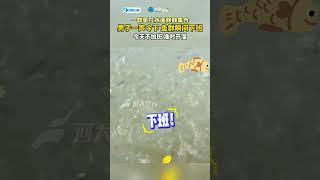 男子一聲令下，魚群瞬間下班#生活 #funny #shorts