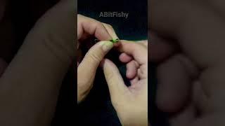 Best Snell Knot for Flipping Hook