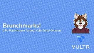 Benchmarking Intel/AMD CPU Performance on Vultr Cloud Compute Instance Types