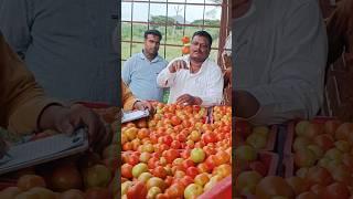 బీ.కొత్తకోట KSB టొమాటో మార్కెట్ టాప్ ధరలు #tomato #price #rates #todaytomatorateinbkothakota