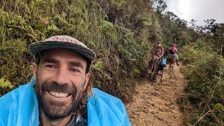 Rewilding Diaries 22: Peruvian Coffee