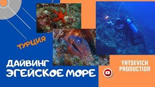 Дайвинг. Эгейское море. Турция