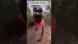 Funny Captions only  #funny #funny #funnyvideo #shorts #ytshorts #funnyshorts #fyp #viral #comedy