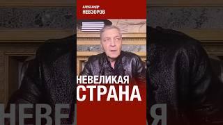 Мания величия и величие — разные вещи #невзоров