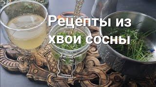 Сосновая хвоя зимой. Ферментированный чай, зелёный сахар, настойка.