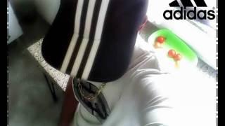 Mc k9 Time do Antares 